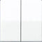 Jung AS500 Schakelelement/Centrale Plaat - AS591-5WW - E32SQ