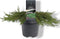Juniperus communis 'Green Carpet' - Gewone jeneverbes - Planthoogte: 40-50 cm - Pot Ø 23 cm (5 Liter)