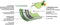 Just Vegan, Ceravegan keramische ECO koekenpan 2pcs – 20cm + 28cm, 100% vegan, plantaardige anti-aanbaklaag - Met GRATIS panbeschermer
