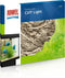 Juwel Aquarium Achterwand Cliff - Aquariumdecoratie - 60 x 55 cm - Beige