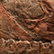 Juwel Aquarium Achterwand Cliff Dark - Aquariumdecoratie - Bruin - 60 x 55 cm