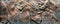 Juwel Aquarium Decoratie - Achterwand - XL - 150x60cm