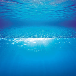 Juwel Aquarium Decoratie - Poster - XL - 150x60 cm