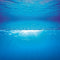 Juwel Aquarium Decoratie - Poster - XL - 150x60 cm