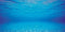 Juwel Aquarium Decoratie - Poster - XL - 150x60 cm