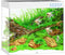 Juwel Aquarium Lido 200 Led 71x51x65 cm Wit Ca. 200 L