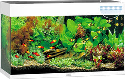Juwel Aquarium Rio 125 Led 80x35x50 cm - Aquaria - Wit Ca. 125 L