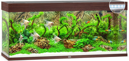 Juwel Aquarium Rio 240 Led 121x41x50 cm - Aquaria - Donker Hout