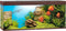 Juwel Aquarium Rio 450 Led 151x51x61 cm - Aquaria - Donker Hout