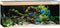 Juwel Aquarium Rio 450 Led 151x51x61 cm - Aquaria - Licht Hout