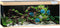 Juwel Aquarium Rio 450 Led 151x51x61 cm - Aquaria - Licht Hout