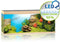 Juwel Aquarium Rio 450 Led 151x51x61 cm - Aquaria - Licht Hout
