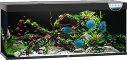 Juwel Aquarium Rio 450 Led - 151x51x66 cm - Zwart - 450 L