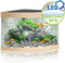 Juwel Aquarium Trigon 190 Led 70x70x60 cm - Aquaria - Licht Hout
