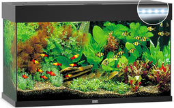 Juwel Rio 125 LED Aquarium - Zwart - 125L - 80 x 35 x 50 cm
