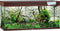 Juwel Rio 180 LED Aquarium - Bruin - 180L - 101 x 41 x 50 cm