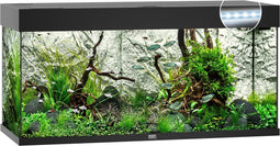 Juwel Rio 180 LED Aquarium - Zwart - 180L - 101 x 41 x 50 cm