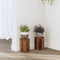 vidaXL - Plantenstandaards - 2 - st - 10x10x18 - cm - bewerkt - hout - oud - houtkleurig