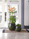 Ter Steege Bloempot Groen D 23 cm H 20 cm Opening 17.5 cm