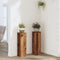 vidaXL - Plantenstandaards - 2 - st - 17x17x60 - cm - bewerkt - hout - oud - houtkleurig