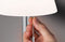 Paulmann Lillesol - Solar LED-tafellamp 3-Step-Dim IP44 3000K 45lm Edelstaal