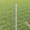 vidaXL - Hekpalen - 11 - stuks - U-vorm - 40 - cm - Gegalvaniseerd - Staal