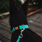 Hondenhalsband Dingo 14760 20 cm