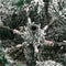 vidaXL - Kunstkerstboom - met - scharnieren - en - sneeuw - 120 - cm