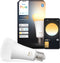 Philips Hue White Ambiance A67 - E27 slimme lamp - 1600 lumen (1-pack)