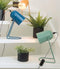 Leitmotiv Enchant - Tafellamp - Minimalistisch design - Groen 30x18cm