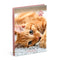 Lannoo Agenda - Schoolagenda 2025-2026 - 125x175mm - collectie & design: MY FAVOURITE FRIENDS - Poes op roze achtergrond