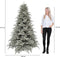 Triumph Tree Hallarin Kunstkerstboom - H215 cm - Zilver Grijs