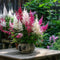 Plant in a Box - Astilbe - Mix van 6 - Pluimspirea - Wortelstokken - Robuuste bloeiende plant