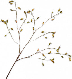 Silk-ka Kunstbloem-Zijden Bloem Rozenbottel Tak Groen 106 cm