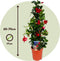 Plant in a Box - Mandeville 'Rio Deep Red' - Dipladenia - Bloeiende tuinplant - Klimplant - Terras- en balkon plant - Pot 17cm - Hoogte 60-70cm