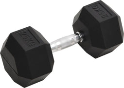 vidaXL - Halters - 25 - kg - gietijzer