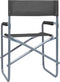 vidaXL Regisseursstoelen - Staal - Grijs - 48 x 57 x 79 cm
