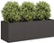 vidaXL - Plantenbak - 120x40x40 - cm - koudgewalst - staal - zwart