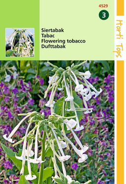 2 stuks - Hortitops - Nicotiana Sylvestris wit