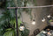 Mica Decorations Tafelklem met LED Verlichting - H110 x L130-250 cm - Metaal - Warm Wit
