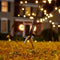 Fairybell LED Buiten Kerstboom voor in de vlaggenmast - 6 meter - 900LEDs - Warm wit