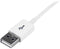 Startech.com - USB 2.0 verlengkabel A-naar-A M/F - 3 m - Wit
