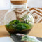 Growing Concepts DIY Duurzaam Ecosysteem Bol - H30xØ18cm