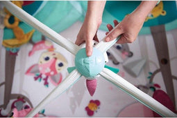 Tiny Love Deluxe Babygym - Princess Tales - Roze