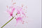 Silk-ka Kunstbloem-Zijden Bloem-Nerine Tak Zijde Roze 90 cm Voordeelaanbod per 2 stuks