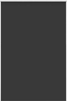 vidaXL - Rolgordijn - verduisterend - 160x210 - cm - stofbreedte - 156,6 - cm - zwart
