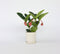 Plant in a Box - Medinilla Magnifica 'Lambada' - Kamerplant - ⌀14cm - Hoogte 40-50cm