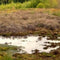 Customize it - Tuinschilderij drenthe 70x50cm