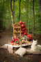 Great Pretenders Verkleedkledij Woodland Roodkapje cape - Rood - Maat 4-6 jaar