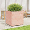 vidaXL - Plantenbak - 70x70x72,5 - cm - massief - douglashout